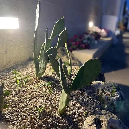 לינה וארוחת בוקר Viro House *