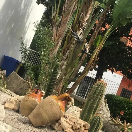 Viro House Couette-café