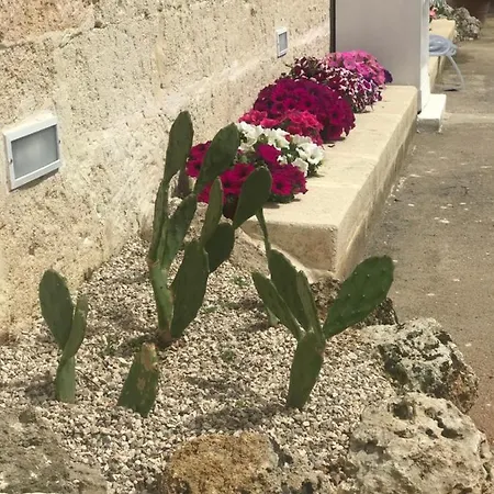 לינה וארוחת בוקר Viro House