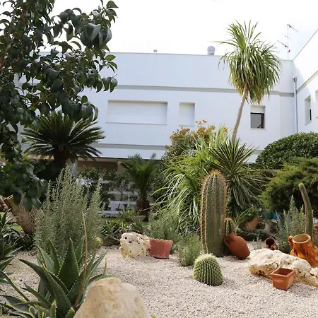 Viro House לינה וארוחת בוקר