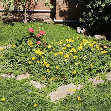 לינה וארוחת בוקר Viro House
