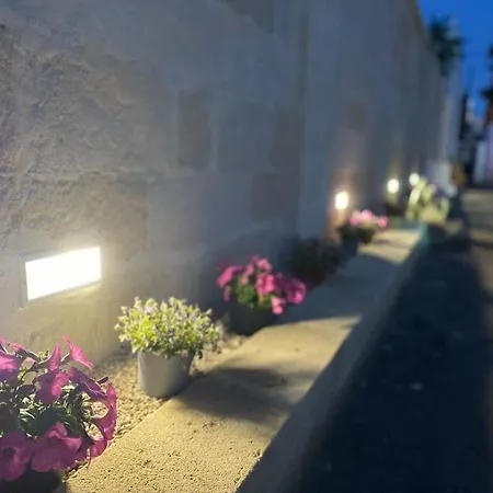 Nocleg ze śniadaniem Viro House 4*