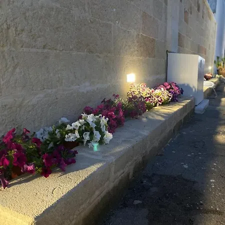 Viro House Nocleg ze śniadaniem