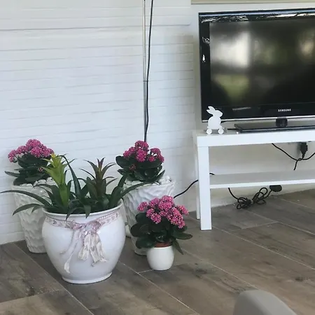 Bed & Breakfast Viro House Squinzano